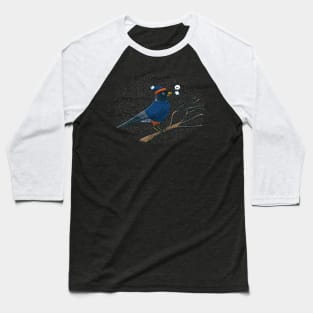 Annoyed IL Birds: The Robin Baseball T-Shirt